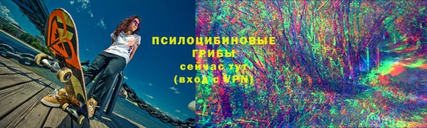 тгк Абинск
