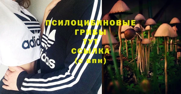 Альфа ПВП Абаза