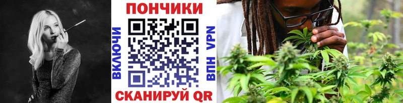 мориарти состав  наркошоп  ссылка на мегу как зайти  Карабаново  Бошки Шишки план 